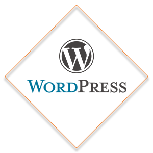 Wordpress-website-development